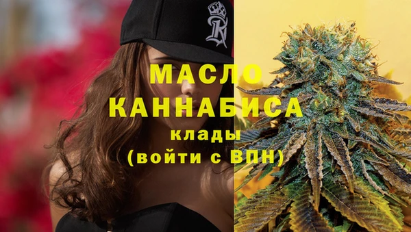 молекула духа Вязьма