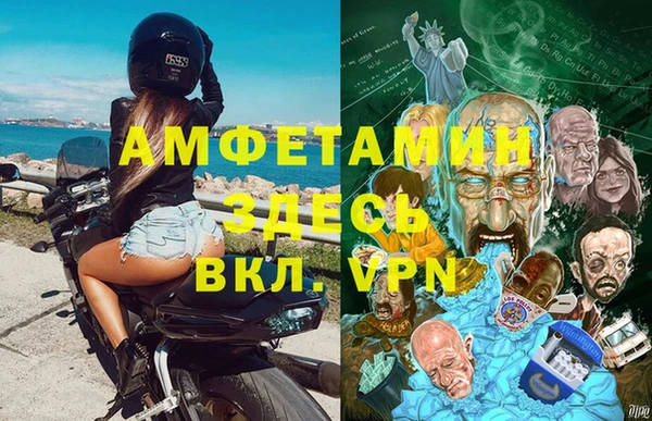 молекула духа Вязьма