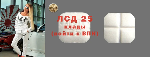 молекула духа Вязьма