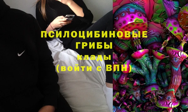 дживик Вязники