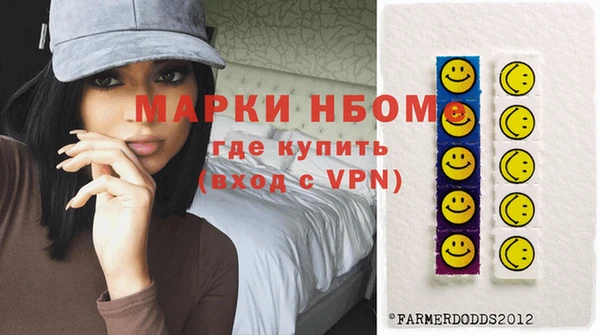 молекула духа Вязьма