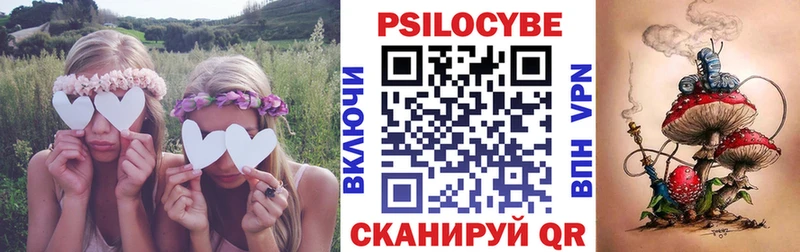 Галлюциногенные грибы Cubensis  Киров 